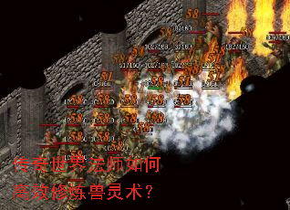 �������編ʦ��θ�Ч������������