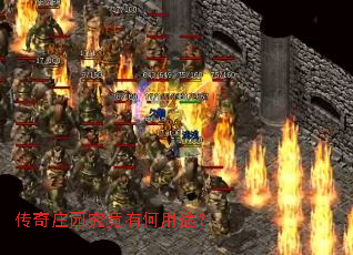 ����ׯ԰�����к���;��