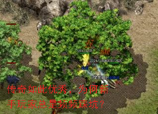 ����������㣬Ϊ�������������ƵƵ�ȿӣ�