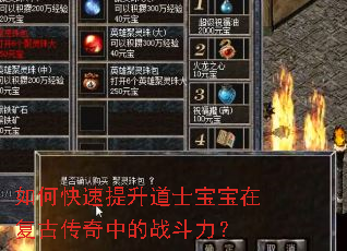 ��ο���������ʿ�����ڸ��Ŵ����е�ս������