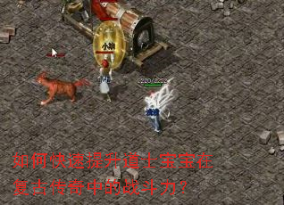 ��ο���������ʿ�����ڸ��Ŵ����е�ս������