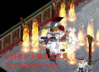 如何用紫金嗜魂法杖展现法师的终极气质? 如何用紫金嗜魂法杖展现法师的终极气质?