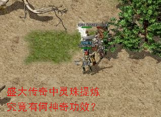 ʢ�������������������к����湦Ч��