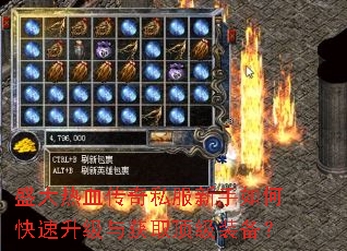 ʢ����Ѫ����˽��������ο����������ȡ����װ����