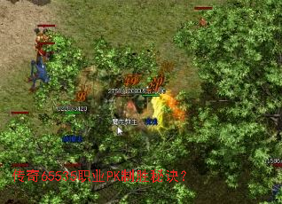 传奇65535职业PK制胜秘诀? 传奇65535职业PK制胜秘诀?