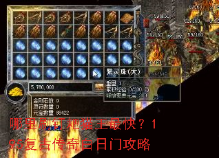 ����ˢ����è����죿195���Ŵ�������Ź���