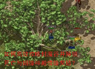 ��θ�Ч���Է�ħ�Ȳ�������������Ե�����Ե������