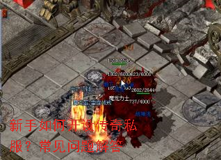 ������ο��贫��˽��������������