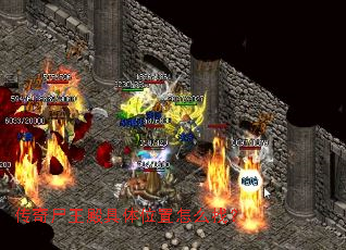 ����ʬ�������λ����ô�ң�