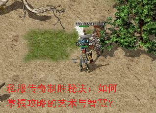 ˽��������ʤ�ؾ���������չ��Ե��������ǻۣ�