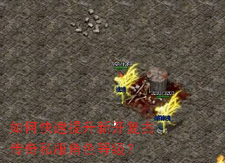 ��ο��������¿����Ŵ���˽����ɫ�ȼ���