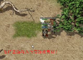 怎样正确导入传奇游戏素材? 怎样正确导入传奇游戏素材?