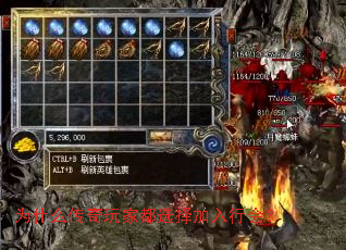 Ϊʲô������Ҷ�ѡ������л᣿