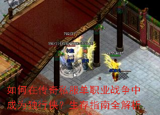 ����ڴ���˽����ְҵս���г�Ϊ������������ָ��ȫ����