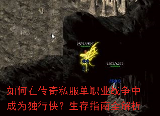 ����ڴ���˽����ְҵս���г�Ϊ������������ָ��ȫ����