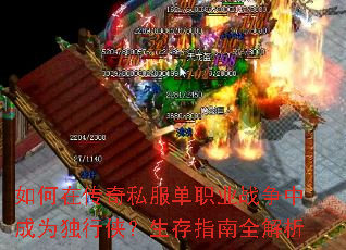 ����ڴ���˽����ְҵս���г�Ϊ������������ָ��ȫ����