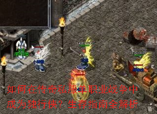 ����ڴ���˽����ְҵս���г�Ϊ������������ָ��ȫ����