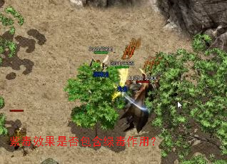 �϶�Ч���Ƿ�����̶����ã�