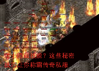 ��ʿ���ؼ��ܣ���Щ���ܼ�������ưԴ���˽��