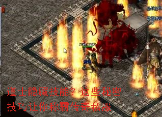 ��ʿ���ؼ��ܣ���Щ���ܼ�������ưԴ���˽��