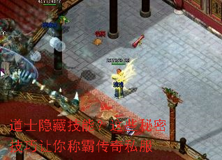 ��ʿ���ؼ��ܣ���Щ���ܼ�������ưԴ���˽��