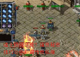 ��ʿ���ؼ��ܣ���Щ���ܼ�������ưԴ���˽��