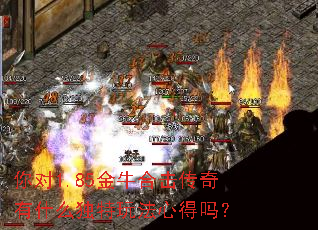 ���1.85��ţ�ϻ�������ʲô�����淨�ĵ���