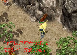 ��ο��ٲ鿴�����Աְҵ��ȼ��ֲ���