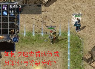 ��ο��ٲ鿴�����Աְҵ��ȼ��ֲ���