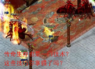 ��������Ҳ��һ�ż�������Щ��������������