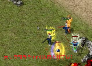 天心传奇新手如何快速提升等级? 天心传奇新手如何快速提升等级?