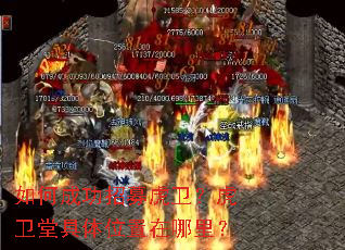 如何成功招募虎卫?虎卫堂具体位置在哪里? 如何成功招募虎卫?虎卫堂具体位置在哪里?