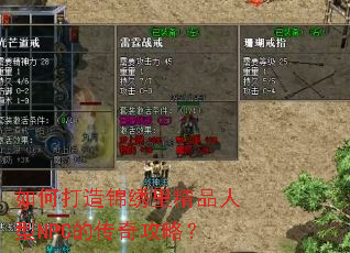 ��δ�������ﾫƷ����NPC�Ĵ��湥�ԣ�