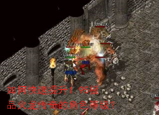 ��ο�������1.95��Ʒ��������Ľ�ɫ�ȼ���