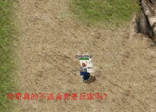 传奇真的不适合养老玩家吗? 传奇真的不适合养老玩家吗?