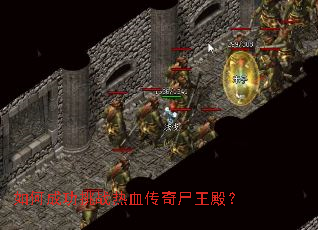 ��γɹ���ս��Ѫ����ʬ���