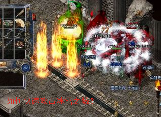 ��ο��ٹ�ռ��ѩ֮�ǣ�