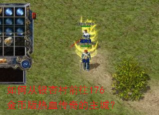 ��δ����Ӵ�ǰ��176��Ұ���Ѫ��������ǣ�