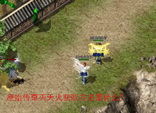 ԭʼ����������ȡ������ʲô��