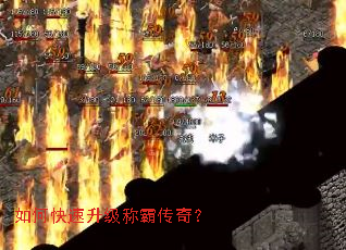 ��ο��������ưԴ��棿