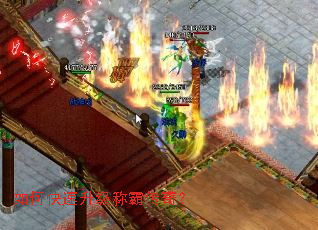 ��ο��������ưԴ��棿