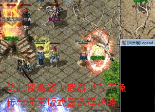 ��ʦ����սʿ���������ô���Ԫ�ذ�����ѡ����