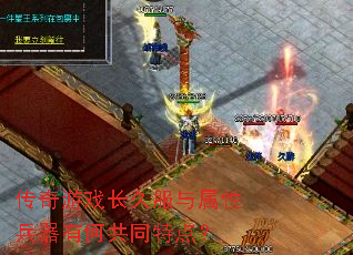 传奇游戏长久服与属性兵器有何共同特点? 传奇游戏长久服与属性兵器有何共同特点?