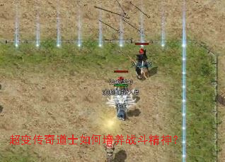 ���䴫���ʿ�������ս������