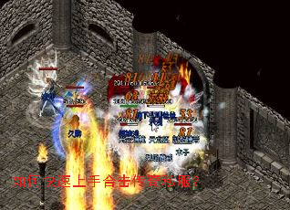 ��ο������ֺϻ�����˽����