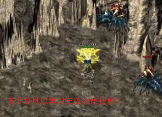 多少级可以学习三级火雨技能? 多少级可以学习三级火雨技能?