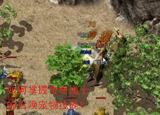 ������մ����ʿ���ٻ����＼�ܣ�