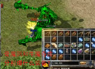 ��ħ����ţħ�����ֱ�ʲôװ����