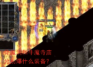 ��ħ����ţħ�����ֱ�ʲôװ����