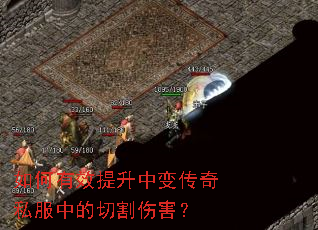 �����Ч�����б䴫��˽���е��и��˺���